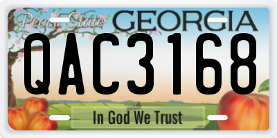 GA license plate QAC3168