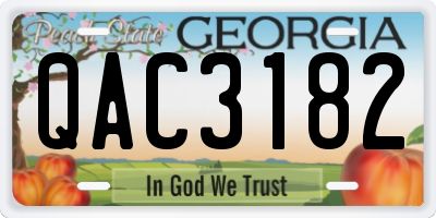 GA license plate QAC3182