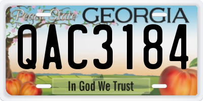 GA license plate QAC3184