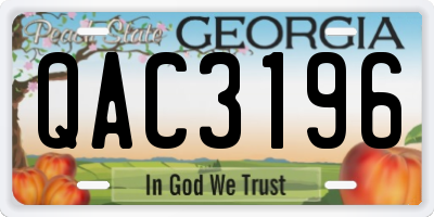GA license plate QAC3196