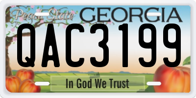 GA license plate QAC3199