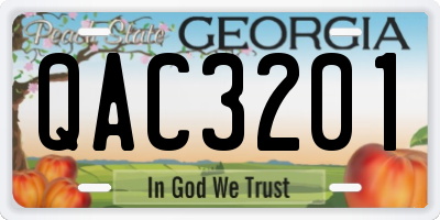 GA license plate QAC3201