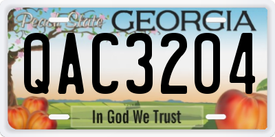 GA license plate QAC3204