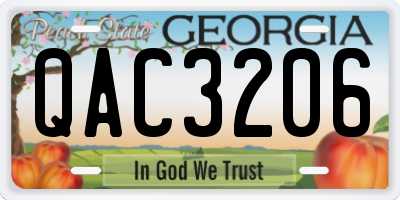 GA license plate QAC3206