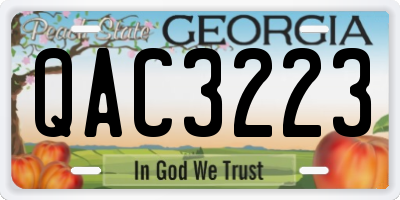 GA license plate QAC3223