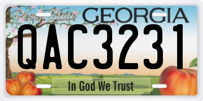 GA license plate QAC3231