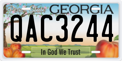 GA license plate QAC3244