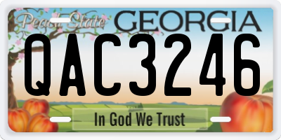 GA license plate QAC3246