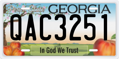GA license plate QAC3251