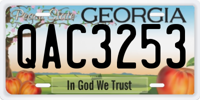 GA license plate QAC3253