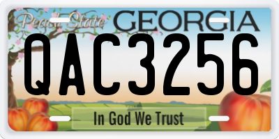 GA license plate QAC3256