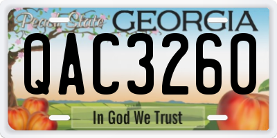 GA license plate QAC3260