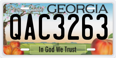 GA license plate QAC3263