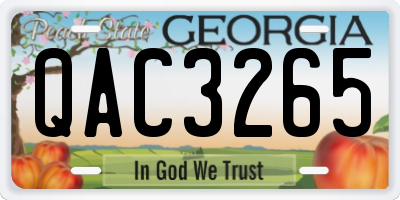 GA license plate QAC3265