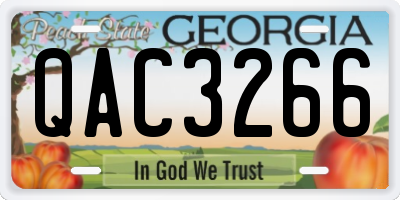 GA license plate QAC3266