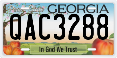 GA license plate QAC3288