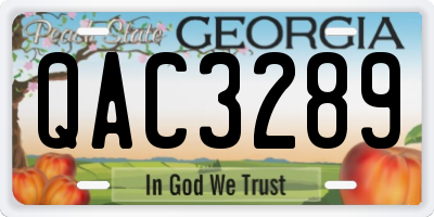 GA license plate QAC3289