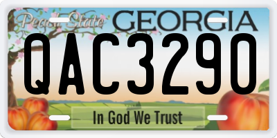 GA license plate QAC3290