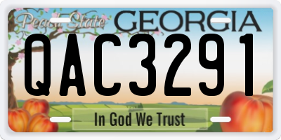GA license plate QAC3291