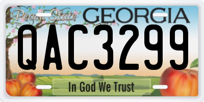 GA license plate QAC3299