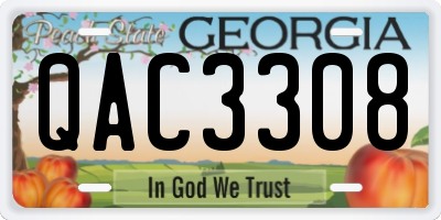 GA license plate QAC3308