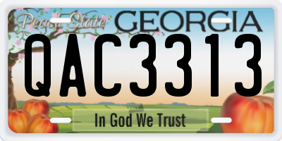 GA license plate QAC3313