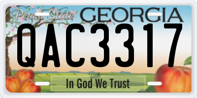 GA license plate QAC3317