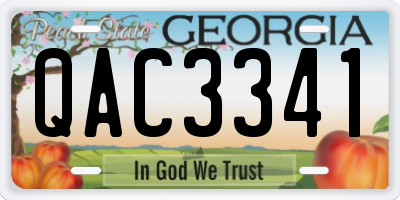 GA license plate QAC3341