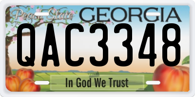 GA license plate QAC3348