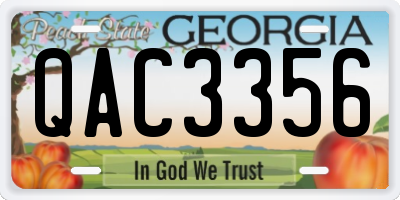 GA license plate QAC3356