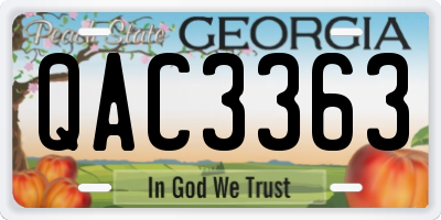 GA license plate QAC3363