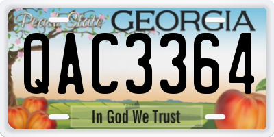 GA license plate QAC3364