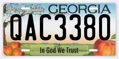 GA license plate QAC3380