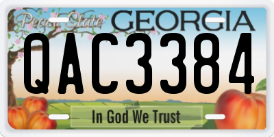 GA license plate QAC3384
