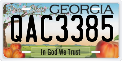 GA license plate QAC3385
