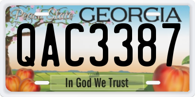 GA license plate QAC3387