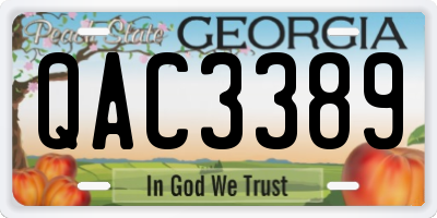GA license plate QAC3389