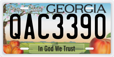 GA license plate QAC3390