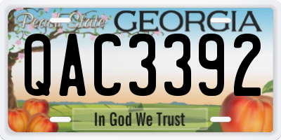 GA license plate QAC3392