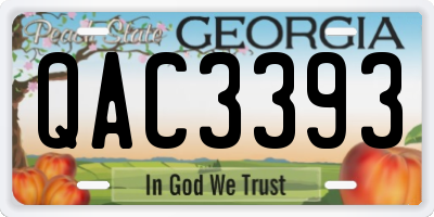 GA license plate QAC3393