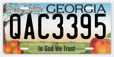 GA license plate QAC3395