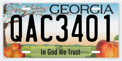GA license plate QAC3401
