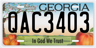 GA license plate QAC3403