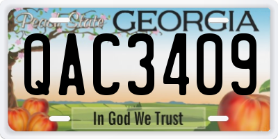 GA license plate QAC3409