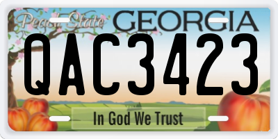 GA license plate QAC3423