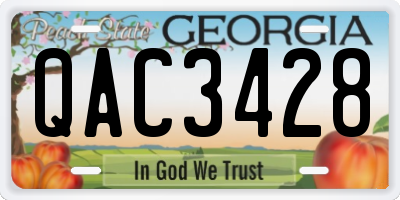 GA license plate QAC3428