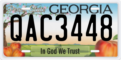 GA license plate QAC3448