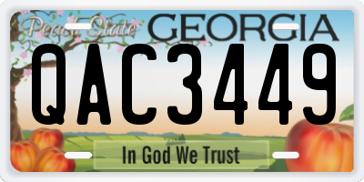 GA license plate QAC3449