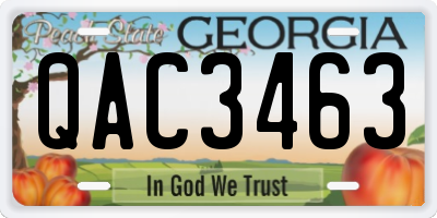 GA license plate QAC3463