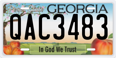 GA license plate QAC3483